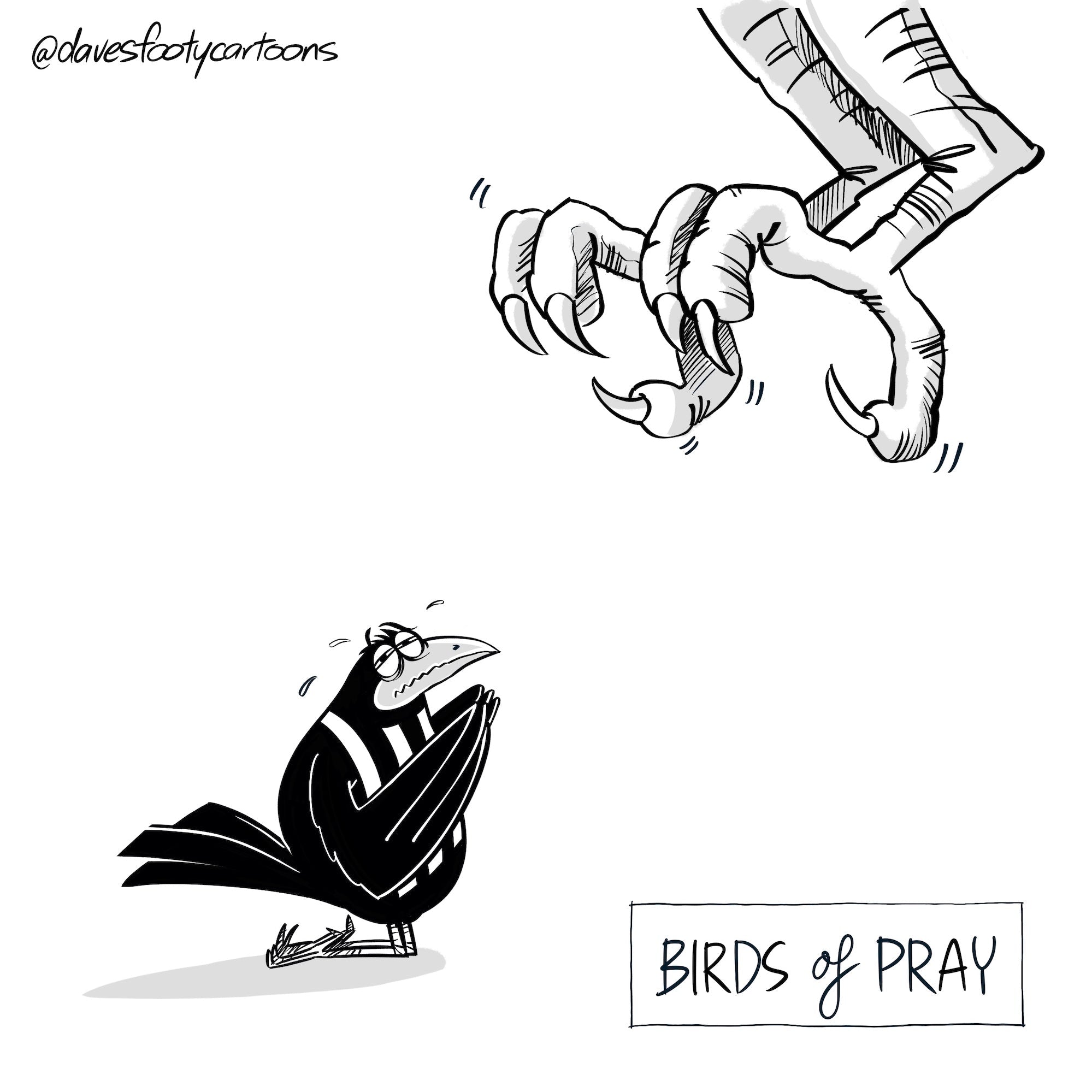 Birds of Pray